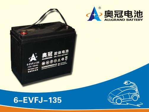 奥冠电池6-EVFJ-135