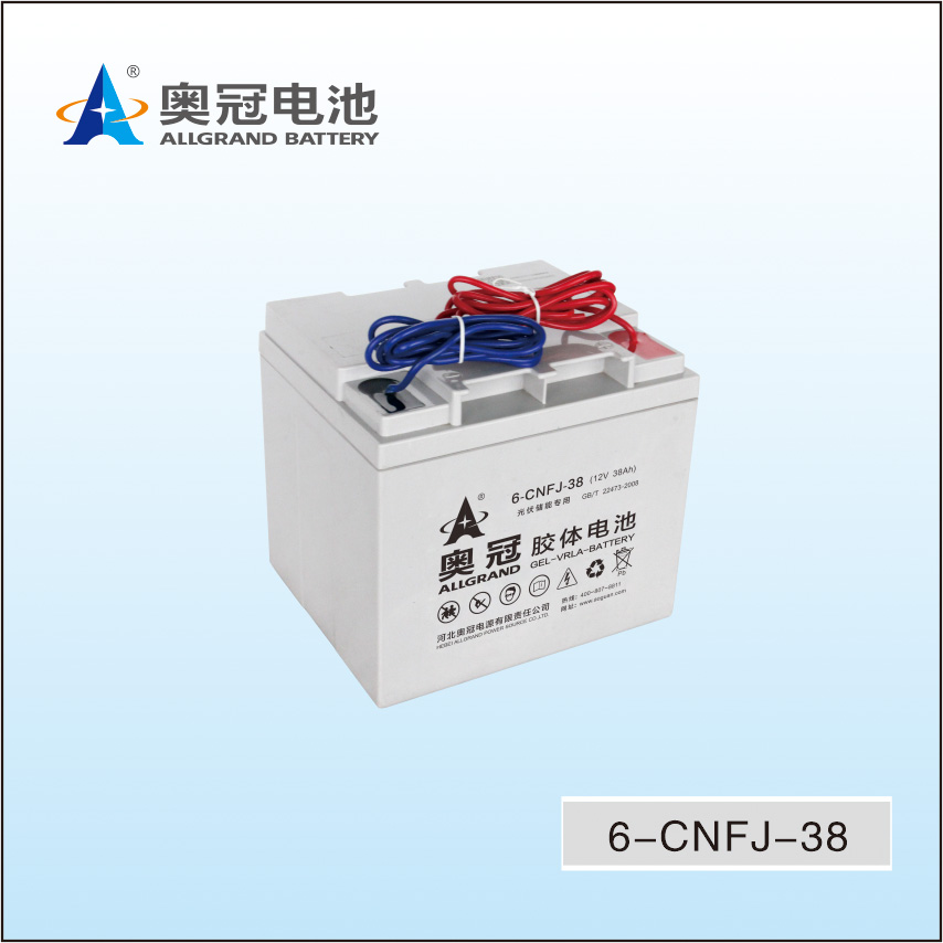 奥冠电池6-CNFJ-38